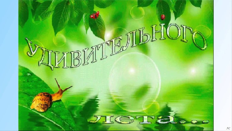 Клубничное лето