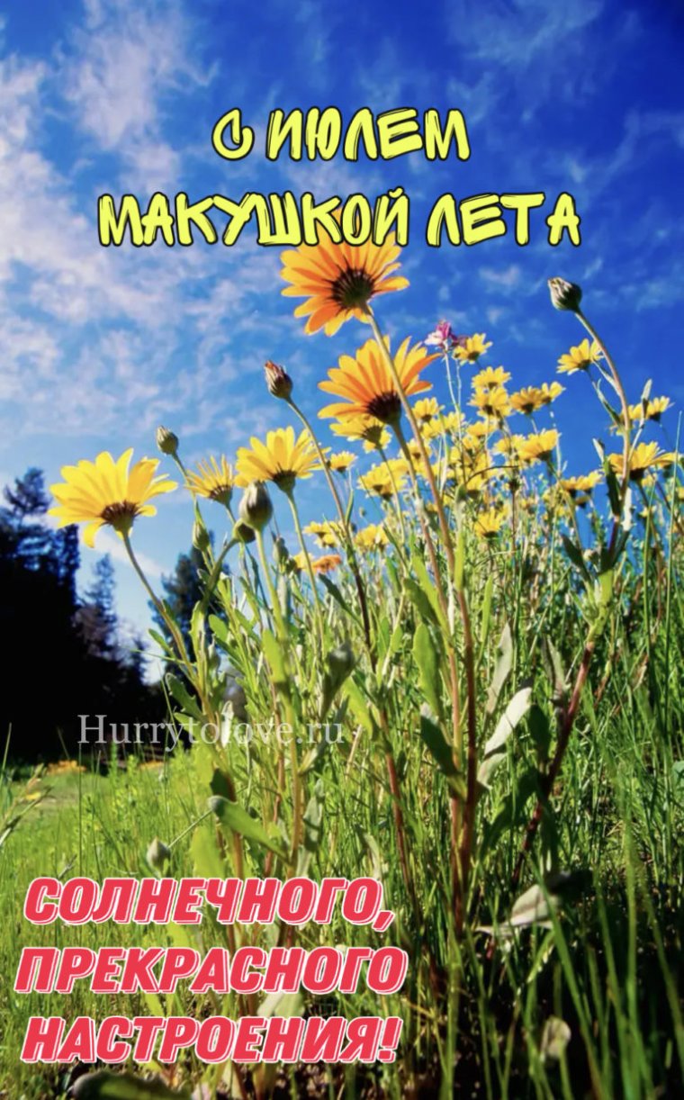 Макушка лета