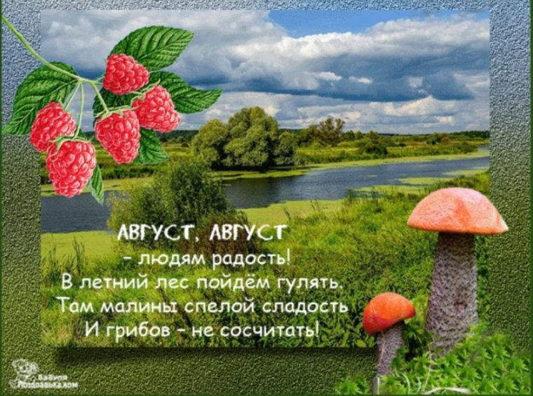 Открытки с Августом