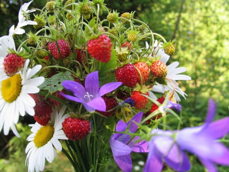 Красивый летний букет