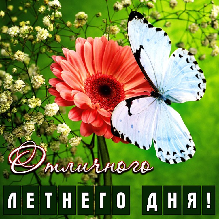 Ярилин день макушка лета