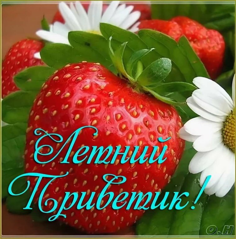 Летний привет