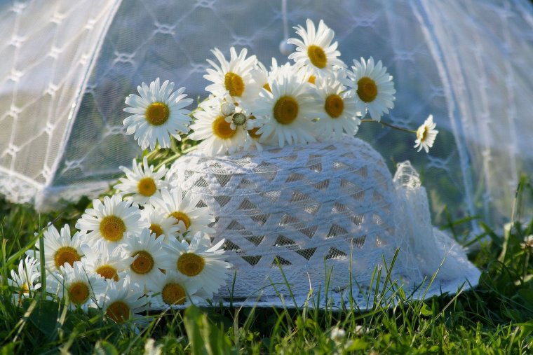 Лето Ах лето