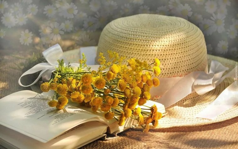 Лето анимация