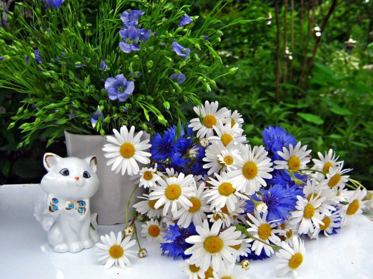 Летний приветик красивые