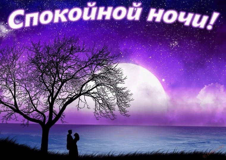 Красивые пожелания спокойной ночи девушке