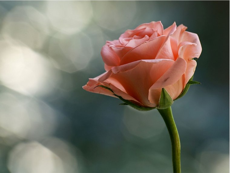 Поздравлениесвещенника с днем рождения