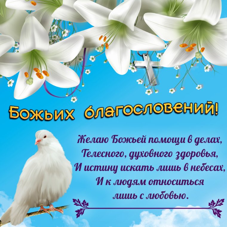 С днем рождения незабудки