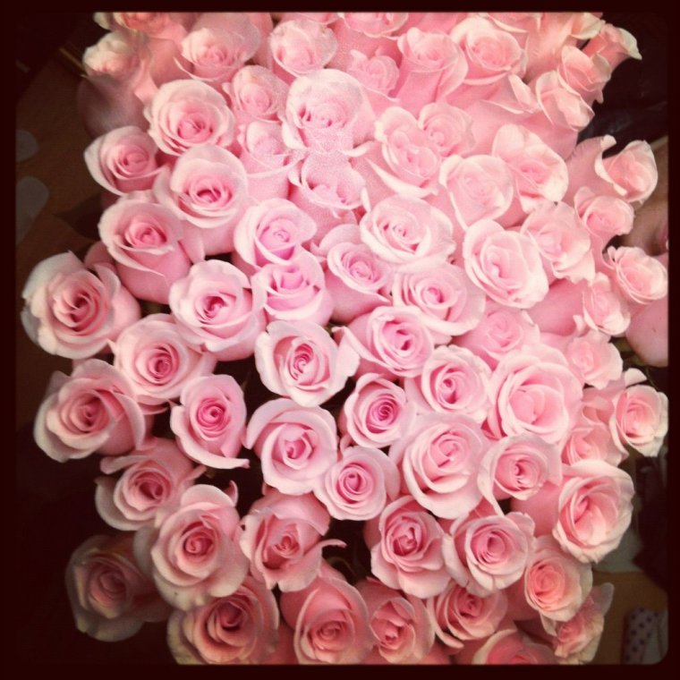 Розы хайырлы яшлар