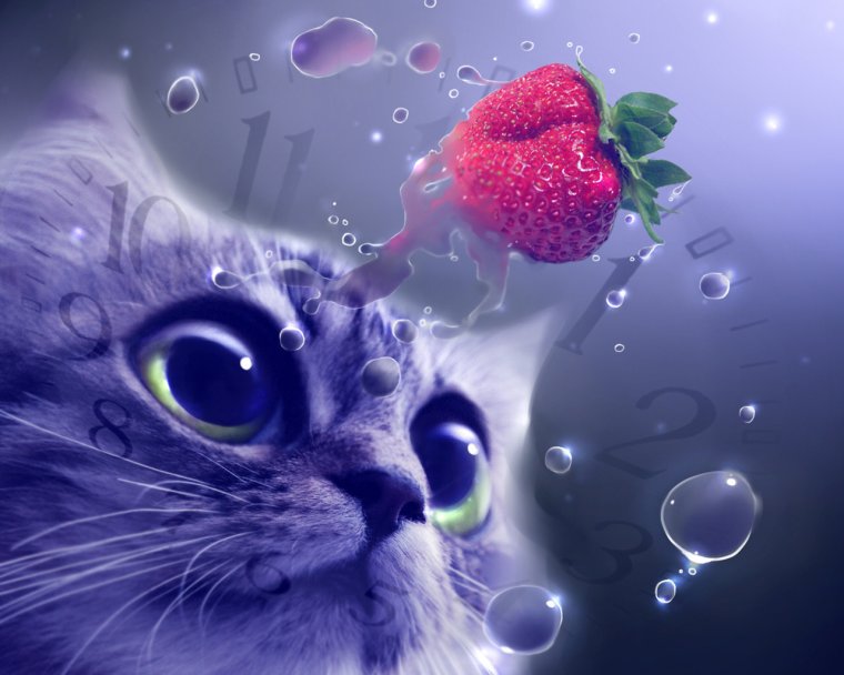 Кошка компьютерная Графика