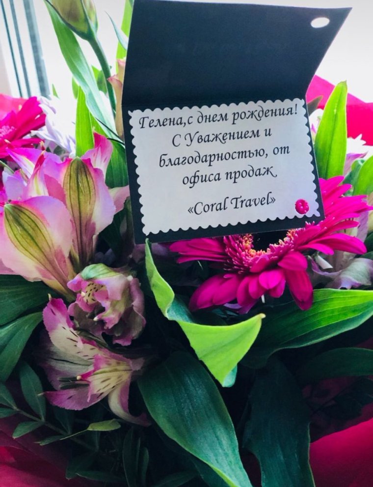 Открытка с черепахой с днем рождения