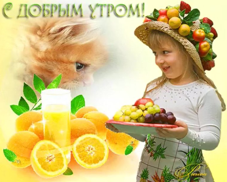 Пожелания доброго утра с детьми и животными