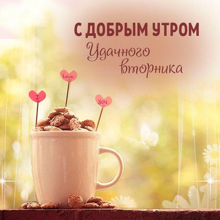 Доброго вторника картинки красивые