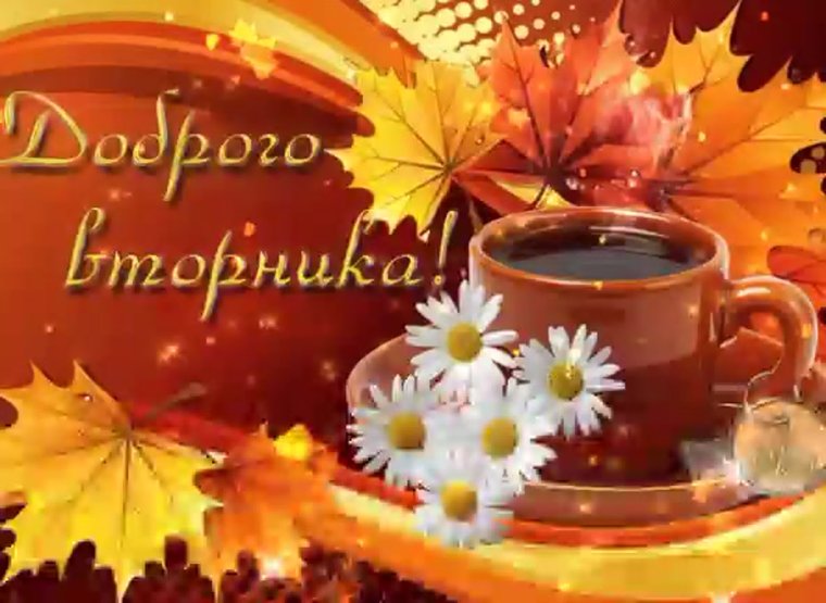 С добрым рсеннимутром вторника