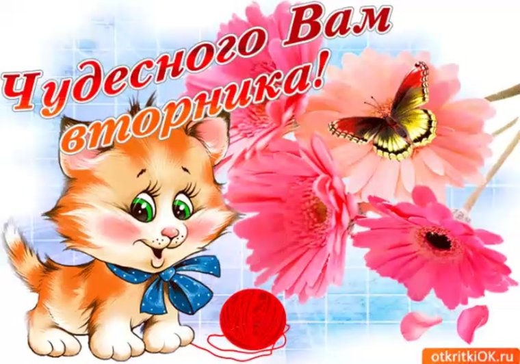 Утренние цветы