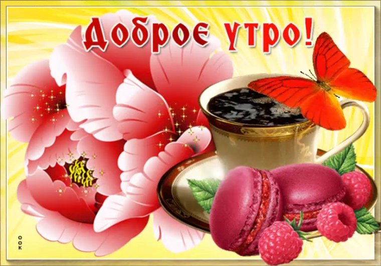 Прикольные гифки с добрым утром