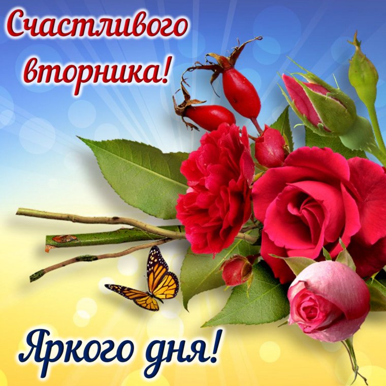 Пожелания хорошего вторника