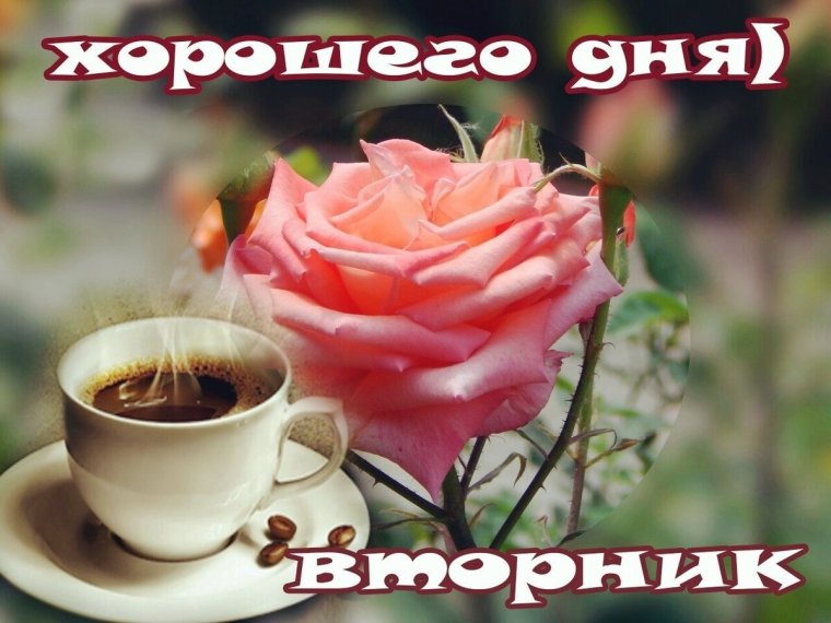 Доброго благословенного утра и хорошего дня