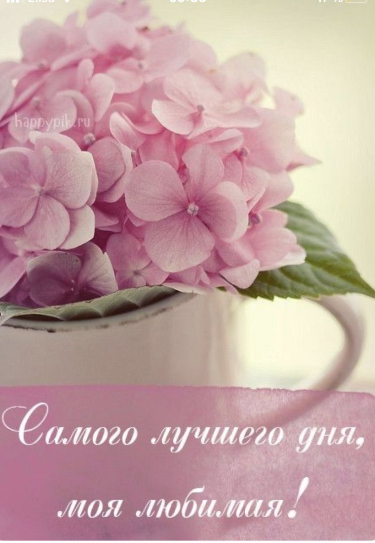 Чаепитие красиво