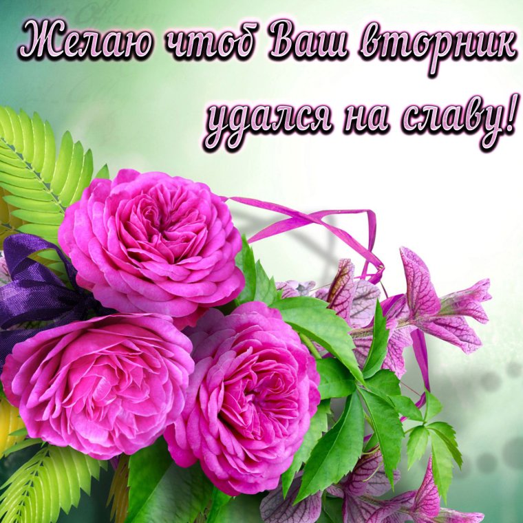 Добрые пожелания