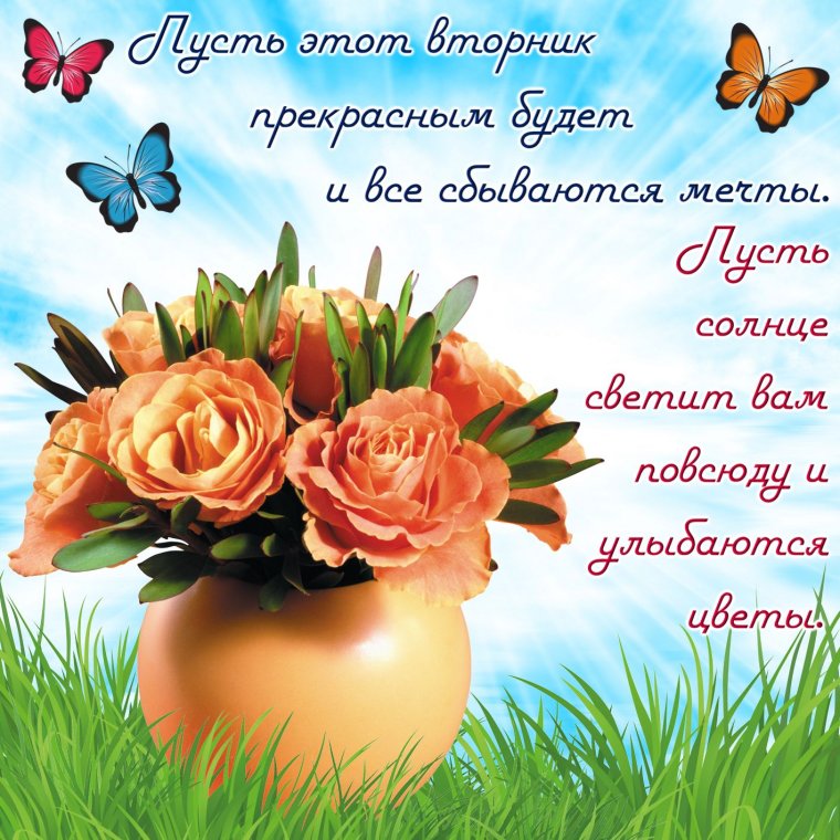 Поздравления на каждый день