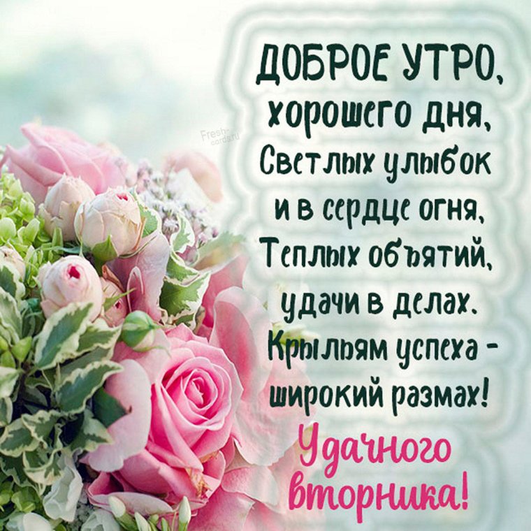 Солнечного вторника картинки