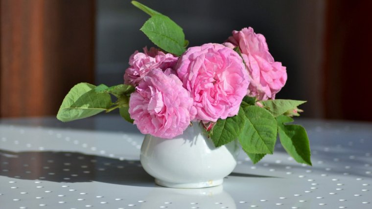 Ромашки с пожеланием доброго утра и хорошего дня