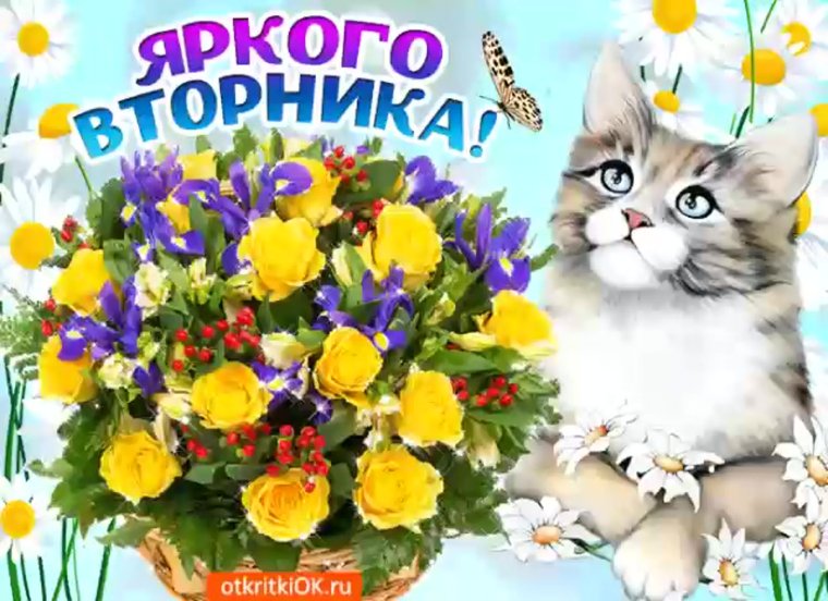 Открытки со вторником