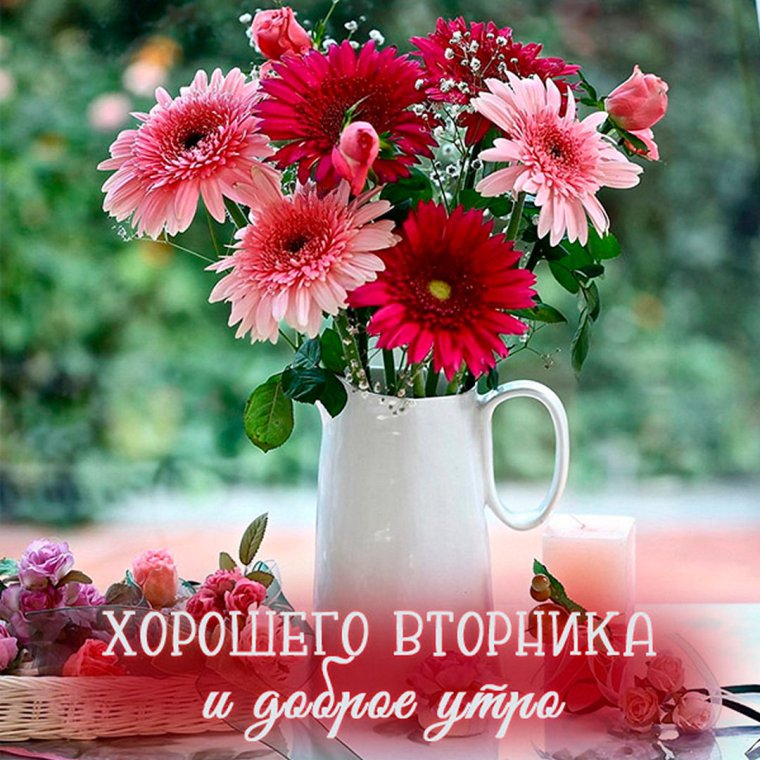 Доброе утро вторник стильные