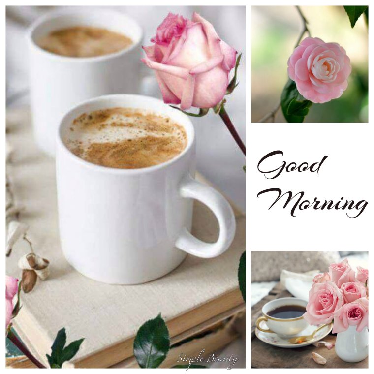 Доброе утро вторника