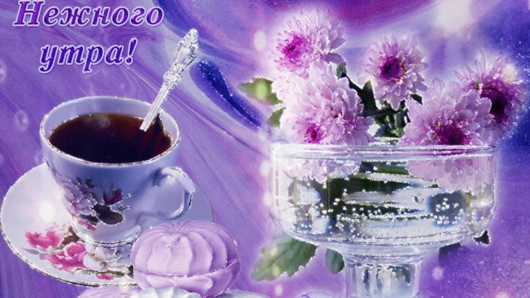 Нежное утро