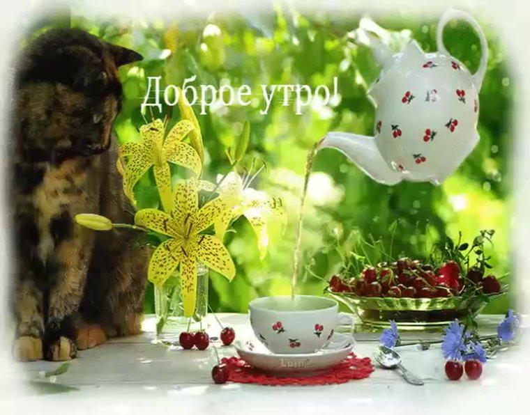 Поздравления с добрым летним утром