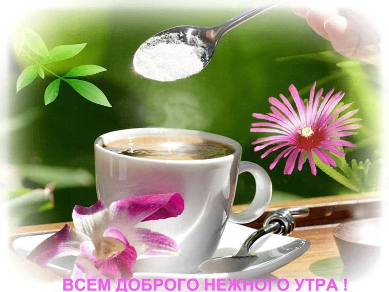 Гифы с добрым утром