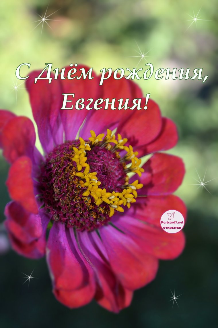 С днём рождения Евгкния