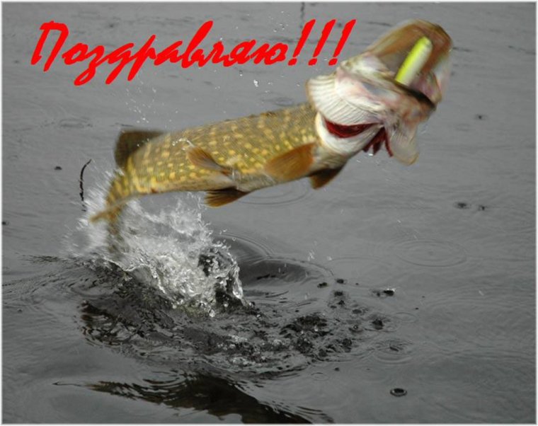 Открытка с юбилеем мужчине рыбаку