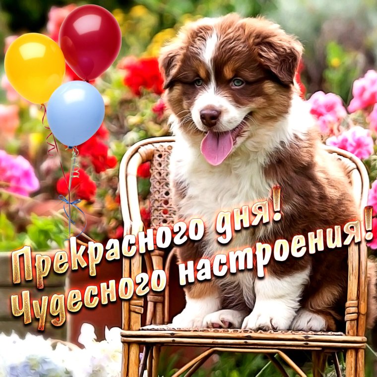 Праздничного настроения и отличного дня