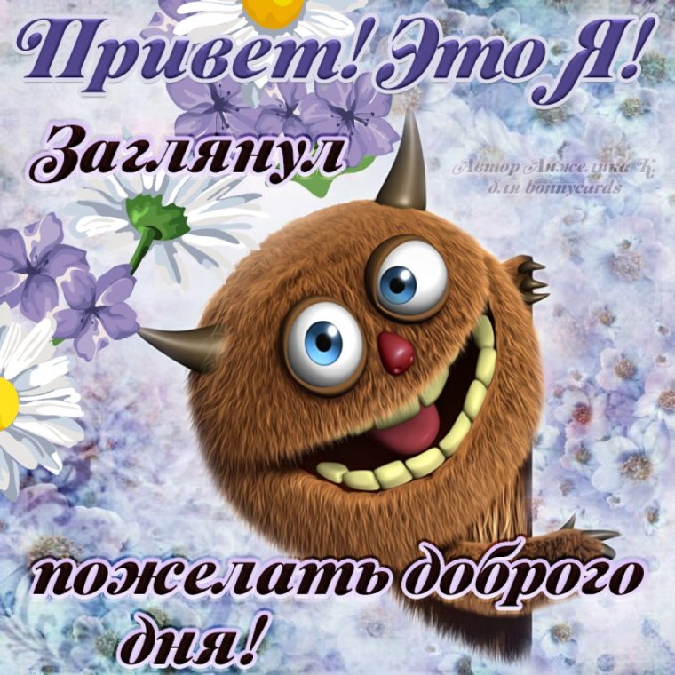 Смешные пожелания хорошего дня