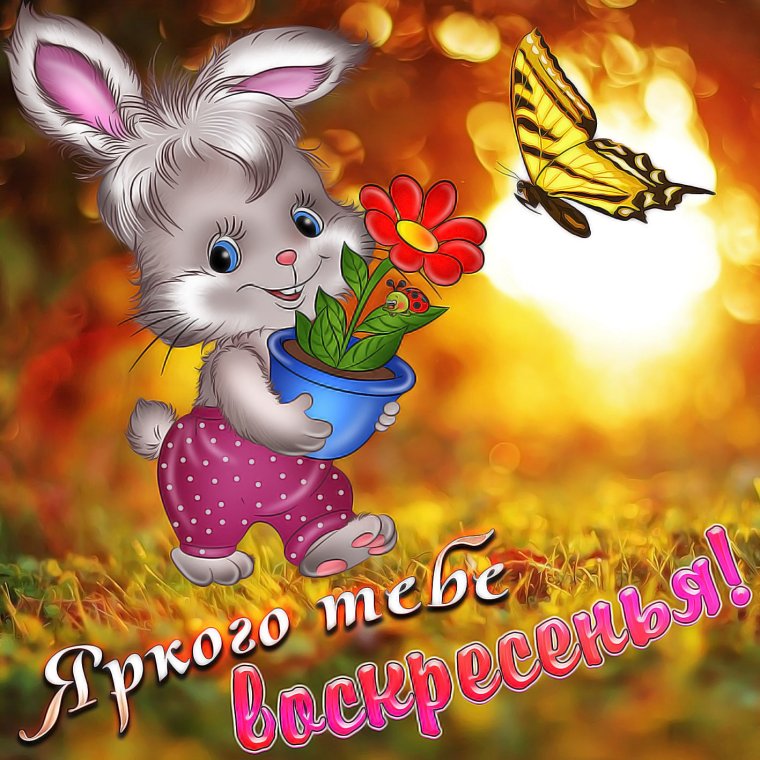 Открытки хорошего воскресенья