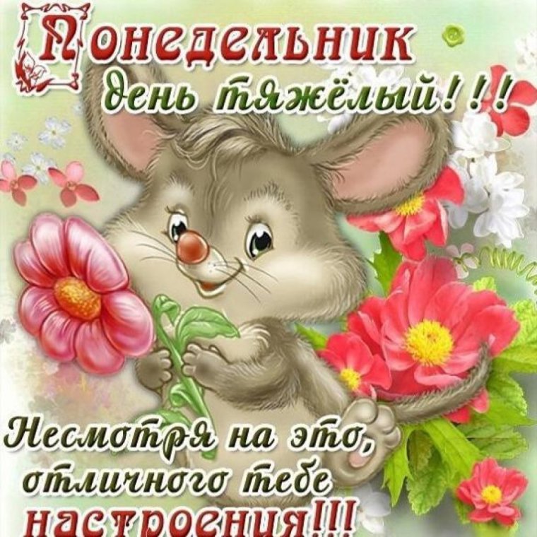Поздравление с понедельником
