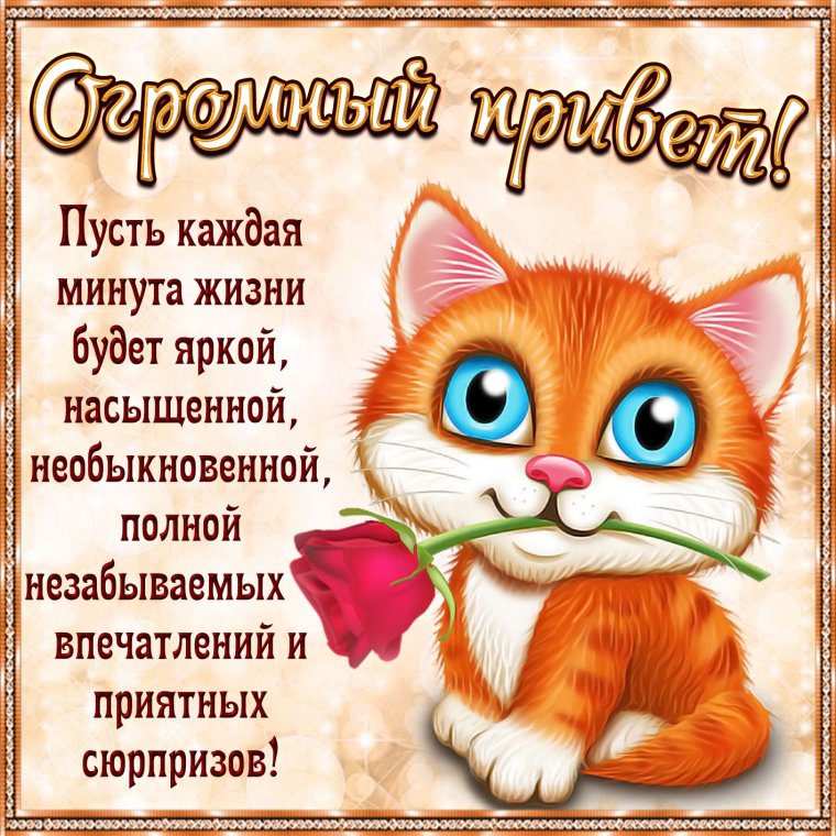 Привет открытки красивые