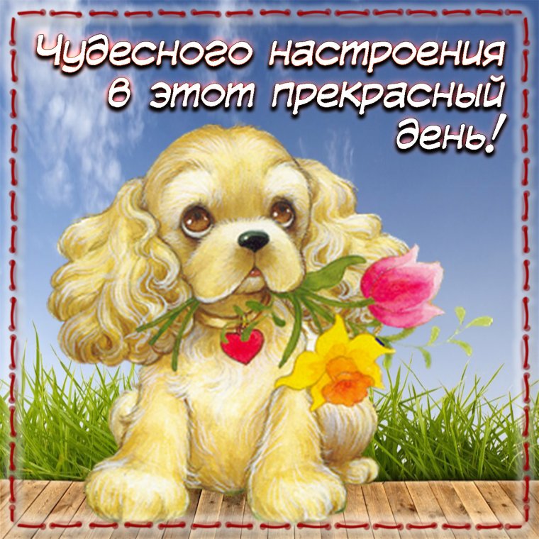 Чудесного дня и отличного настроения