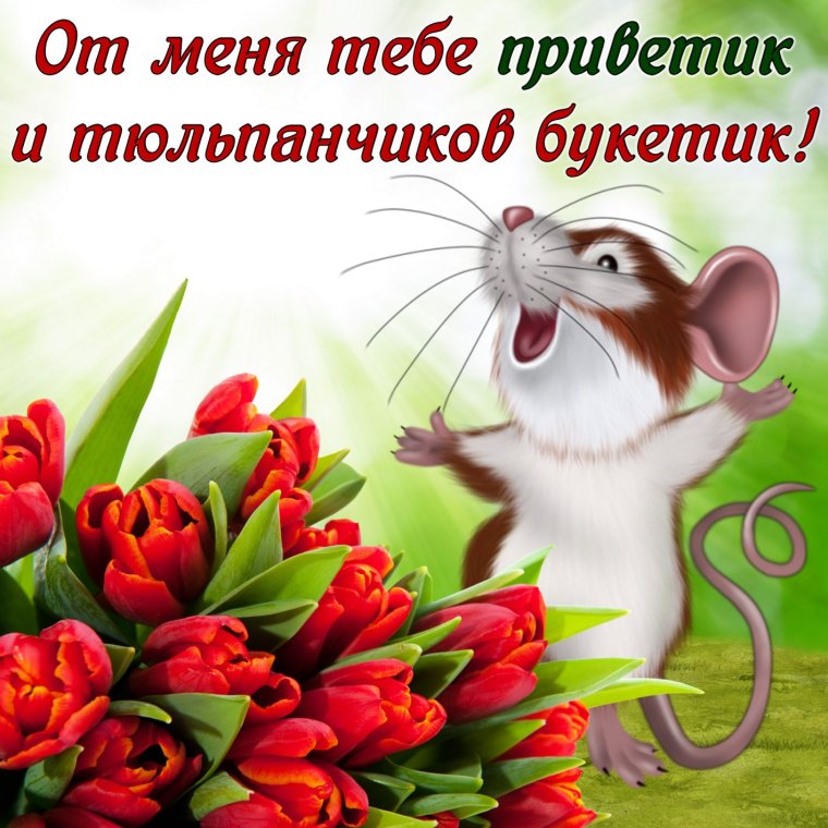 Открытки приветик от меня