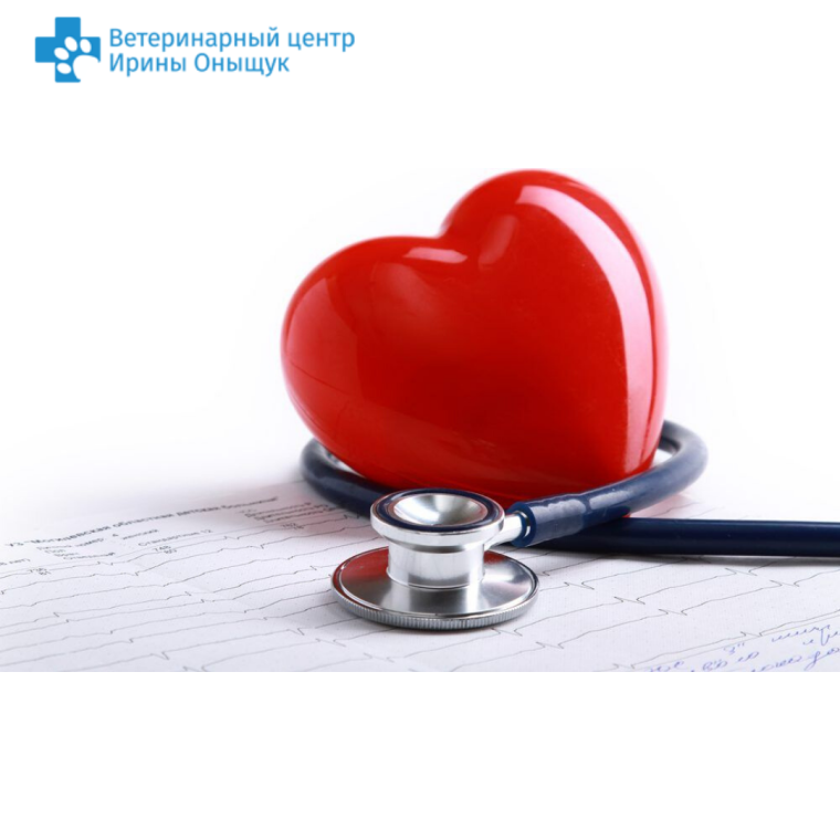 Торт на медицинскую тематику