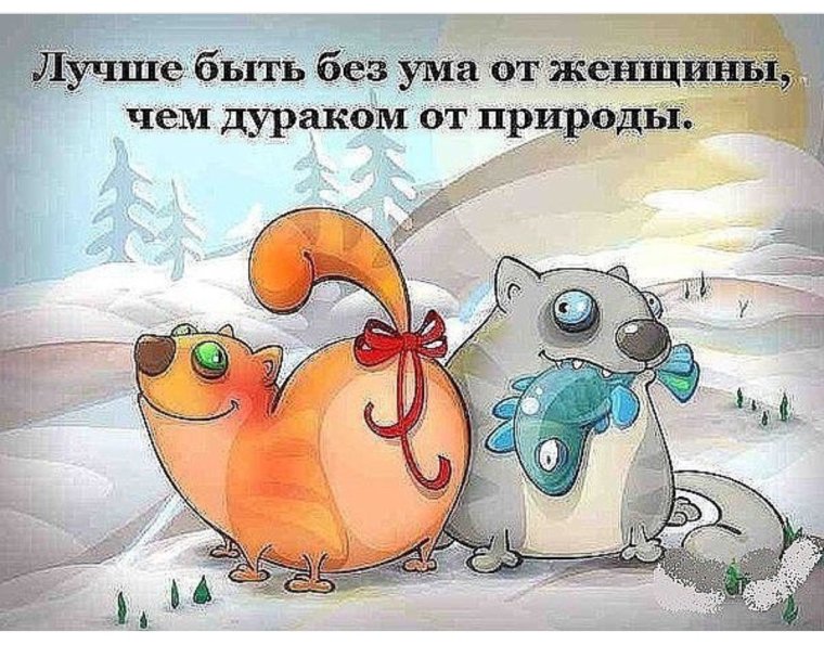 Добрый вечер с юмором