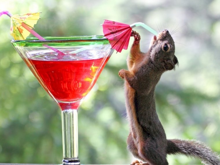 Открытка пятница друг человека