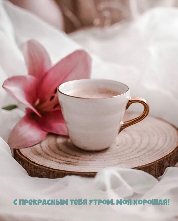 С добрым утром радость моя