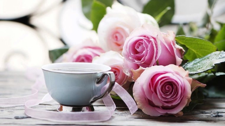 Красивые утренние цветы