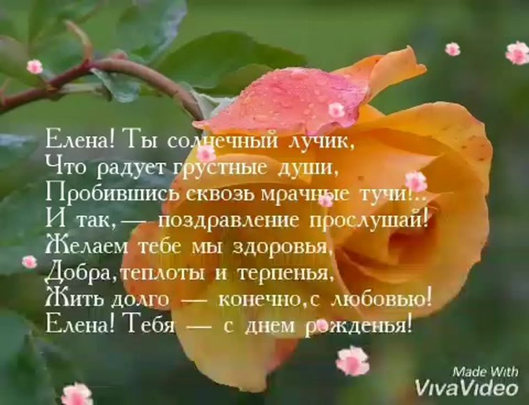 Поздравления с днём рождения девушке надежде