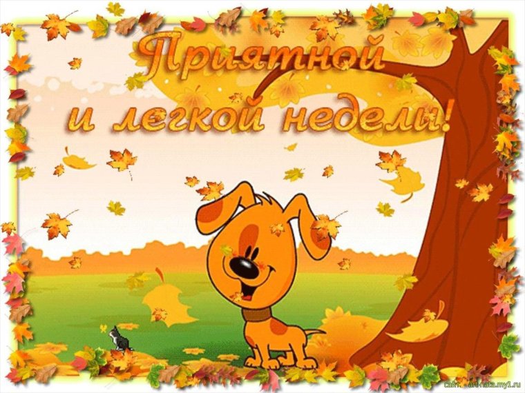 Отличной недели осень