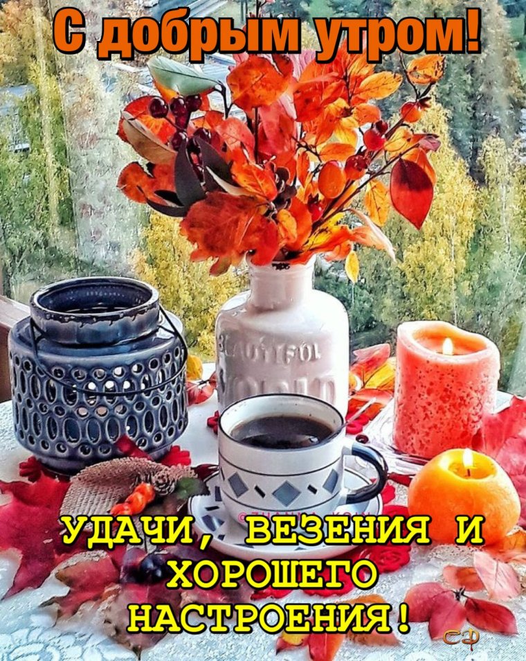 Доброе осеннее ноябрьское утро